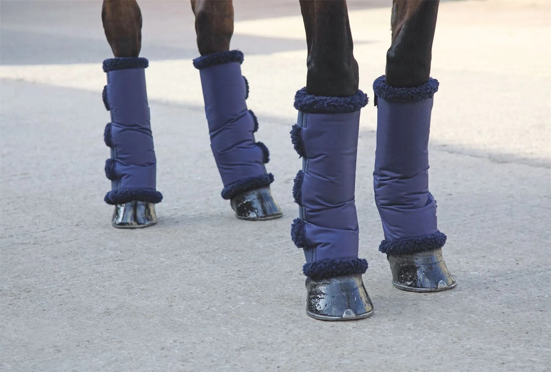 Shires Short Fleece Lined Travel Boots
